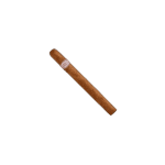 A-VASC-1-11-300×300-removebg-preview
