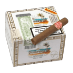 Quintero Petit Quintero CAJA X25 Unidades