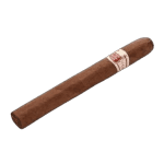 Diseno-sin-titulo-2024-01-19T163307.365-300×300-removebg-preview