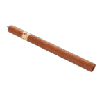 Trinidad Fundadores X1 Unidad