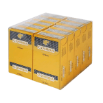 Cohiba Short PACK X10 CAJAS X10 Unidades