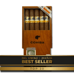 Cohiba Siglo VI CAJA X10 Unidades